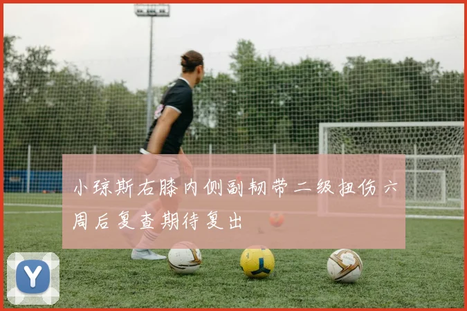 小琼斯右膝内侧副韧带二级扭伤六周后复查期待复出