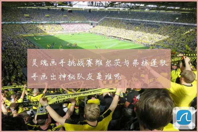 灵魂画手挑战赛维尔茨与弗林蓬联手画出神秘队友是谁呢